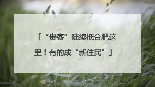 “贵客”陆续抵合肥这里！有的成“新住民”