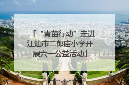 “青苗行动”走进江油市二郎庙小学开展六一公益活动