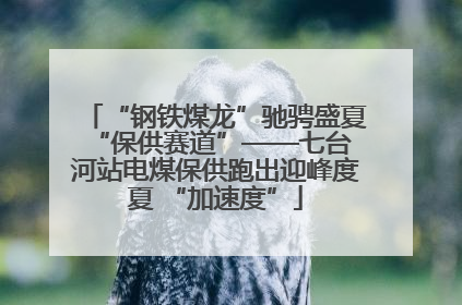 “钢铁煤龙”驰骋盛夏 “保供赛道”——七台河站电煤保供跑出迎峰度夏 “加速度”