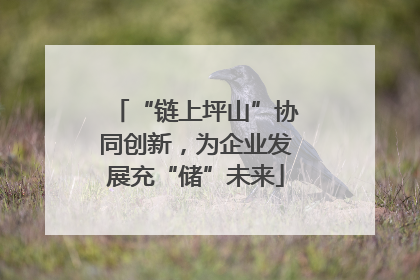 “链上坪山”协同创新，为企业发展充“储”未来