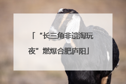 “长三角非遗淘玩夜”燃爆合肥庐阳