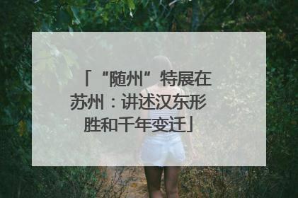 “随州”特展在苏州：讲述汉东形胜和千年变迁