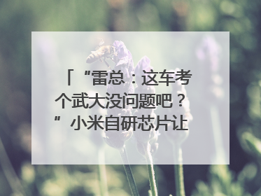 “雷总：这车考个武大没问题吧？”小米自研芯片让YU7会学习｜汽车科技