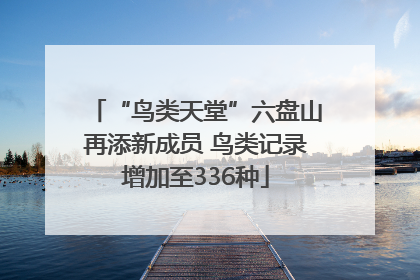 “鸟类天堂”六盘山再添新成员 鸟类记录增加至336种