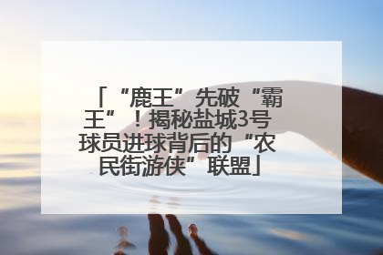 “鹿王”先破“霸王”！揭秘盐城3号球员进球背后的“农民街游侠”联盟