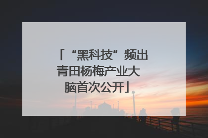 “黑科技”频出 青田杨梅产业大脑首次公开