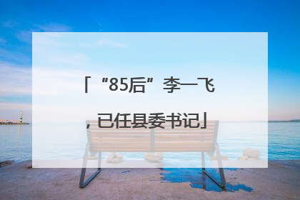 “85后”李一飞，已任县委书记