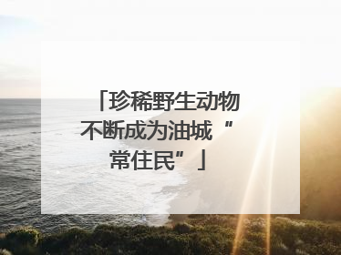 珍稀野生动物不断成为油城“常住民”