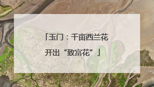 玉门：千亩西兰花开出“致富花”