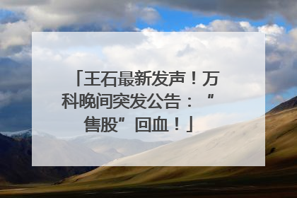 王石最新发声!万科晚间突发公告:“售股”回血!