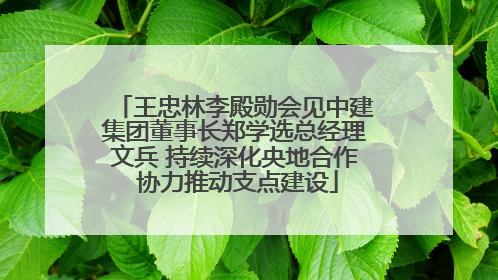 王忠林李殿勋会见中建集团董事长郑学选总经理文兵 持续深化央地合作 协力推动支点建设