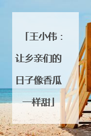 王小伟：让乡亲们的日子像香瓜一样甜