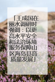 王成国在丽水调研时强调：以更高水平安全和法治环境服务保障山区海岛县高质量发展