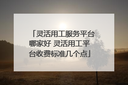 灵活用工服务平台哪家好 灵活用工平台收费标准几个点