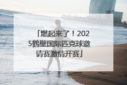 燃起来了！2025鹤壁国际匹克球邀请赛激情开赛