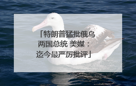 特朗普猛批俄乌两国总统 美媒：迄今最严厉批评