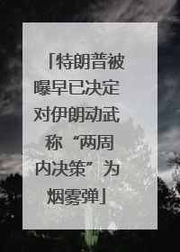 特朗普被曝早已决定对伊朗动武 称“两周内决策”为烟雾弹