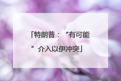 特朗普：“有可能”介入以伊冲突