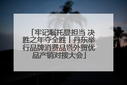 牢记嘱托显担当 决胜之年夺全胜丨丹东举行品牌消费品暨外贸优品产销对接大会