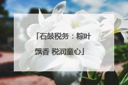 石鼓税务：粽叶飘香 税润童心