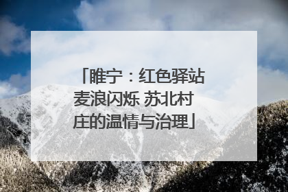 睢宁：红色驿站麦浪闪烁 苏北村庄的温情与治理