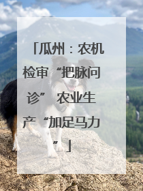 瓜州：农机检审“把脉问诊” 农业生产“加足马力”