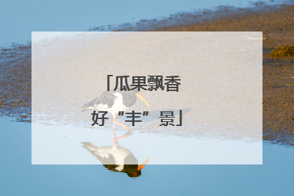 瓜果飘香 好“丰”景