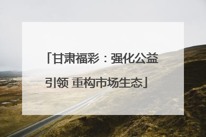 甘肃福彩：强化公益引领 重构市场生态