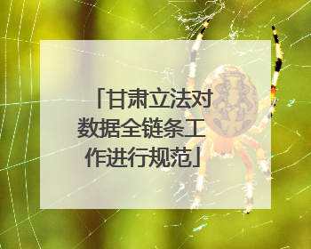 甘肃立法对数据全链条工作进行规范