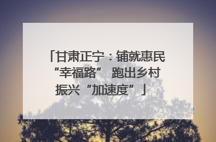 甘肃正宁：铺就惠民“幸福路” 跑出乡村振兴“加速度”
