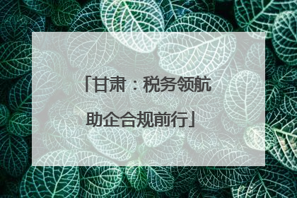 甘肃：税务领航 助企合规前行
