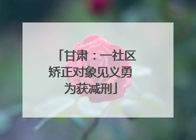 甘肃：一社区矫正对象见义勇为获减刑