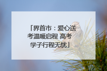 界首市：爱心送考温暖启程 高考学子行程无忧