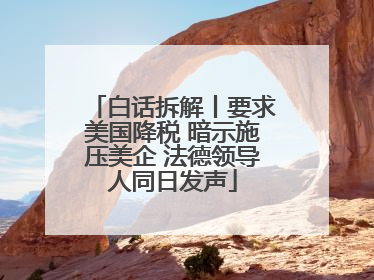 白话拆解丨要求美国降税 暗示施压美企 法德领导人同日发声