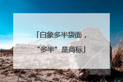白象多半袋面，“多半”是商标