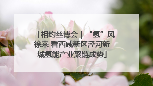 相约丝博会｜“氢”风徐来 看西咸新区泾河新城氢能产业聚链成势