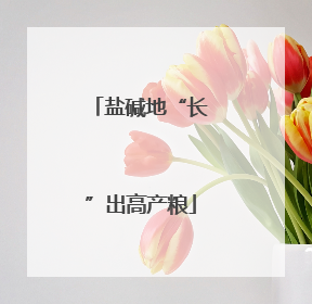 盐碱地“长”出高产粮
