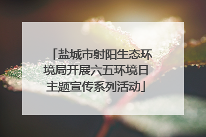盐城市射阳生态环境局开展六五环境日主题宣传系列活动