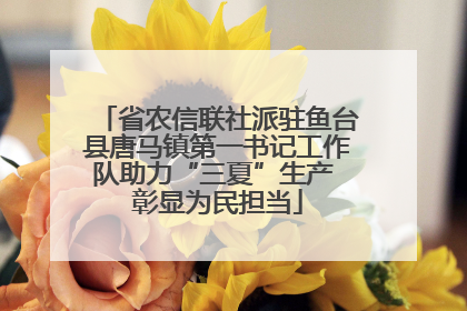 省农信联社派驻鱼台县唐马镇第一书记工作队助力“三夏”生产 彰显为民担当