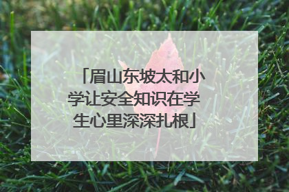 眉山东坡太和小学让安全知识在学生心里深深扎根