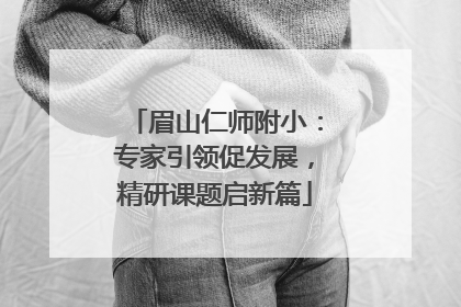 眉山仁师附小：专家引领促发展，精研课题启新篇