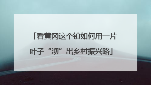 看黄冈这个镇如何用一片叶子“沏”出乡村振兴路