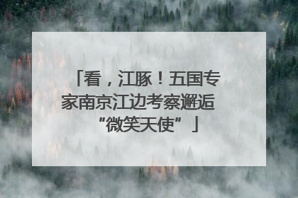 看，江豚！五国专家南京江边考察邂逅“微笑天使”