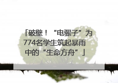 破壁！“电骡子”为774名学生筑起暴雨中的“生命方舟”