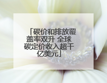 碳价和排放覆盖率双升 全球碳定价收入超千亿美元