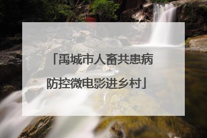 禹城市人畜共患病防控微电影进乡村