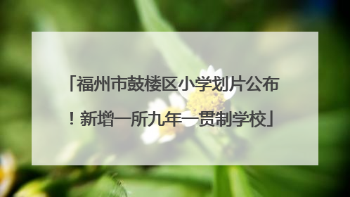福州市鼓楼区小学划片公布！新增一所九年一贯制学校