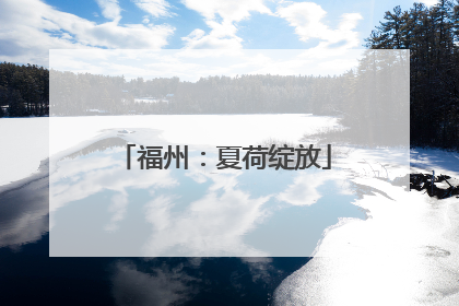 福州：夏荷绽放