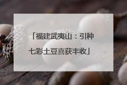福建武夷山：引种七彩土豆喜获丰收