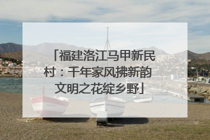 福建洛江马甲新民村：千年家风拂新韵 文明之花绽乡野